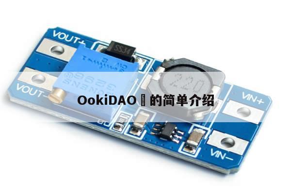 OokiDAO​的简单介绍-第1张图片-币选网