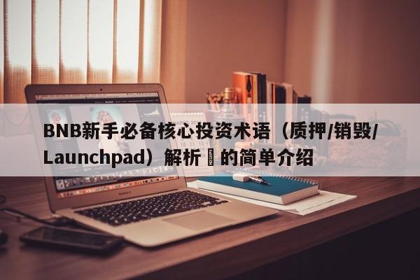 BNB新手必备核心投资术语（质押/销毁/Launchpad）解析​的简单介绍-第1张图片-币选网