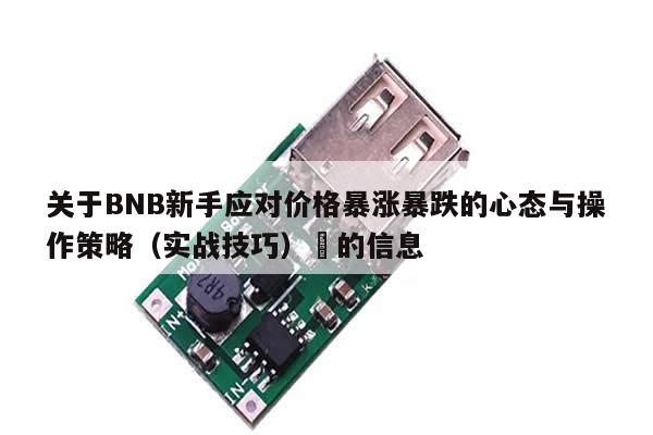 关于BNB新手应对价格暴涨暴跌的心态与操作策略（实战技巧）​的信息-第1张图片-币选网