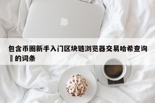 包含币圈新手入门区块链浏览器交易哈希查询​的词条-第1张图片-币选网