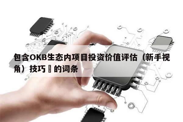 包含OKB生态内项目投资价值评估（新手视角）技巧​的词条-第1张图片-币选网