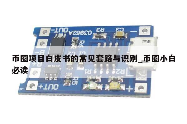 币圈项目白皮书的常见套路与识别_币圈小白必读-第1张图片-币选网