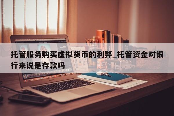 托管服务购买虚拟货币的利弊_托管资金对银行来说是存款吗-第1张图片-币选网