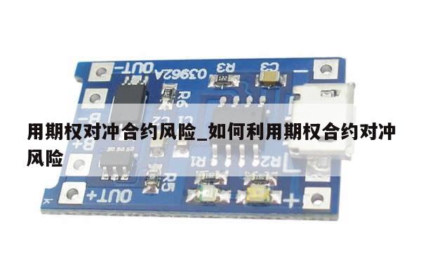 用期权对冲合约风险_如何利用期权合约对冲风险-第1张图片-币选网