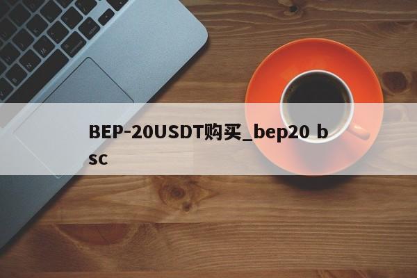 BEP-20USDT购买_bep20 bsc-第1张图片-币选网