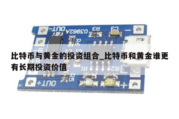 比特币与黄金的投资组合_比特币和黄金谁更有长期投资价值-第1张图片-币选网