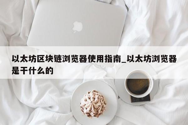 以太坊区块链浏览器使用指南_以太坊浏览器是干什么的-第1张图片-币选网