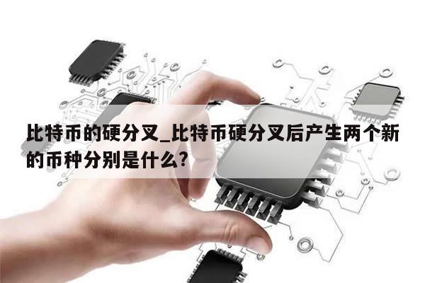比特币的硬分叉_比特币硬分叉后产生两个新的币种分别是什么? -第1张图片-币选网
