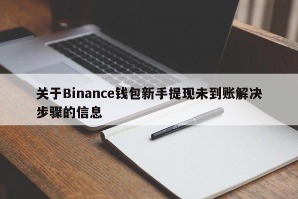 关于Binance钱包新手提现未到账解决步骤的信息-第1张图片-币选网
