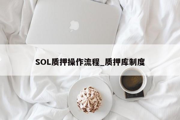 SOL质押操作流程_质押库制度-第1张图片-币选网