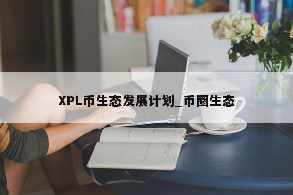 XPL币生态发展计划_币圈生态-第1张图片-币选网