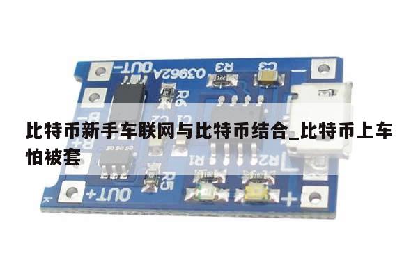 比特币新手车联网与比特币结合_比特币上车怕被套-第1张图片-币选网