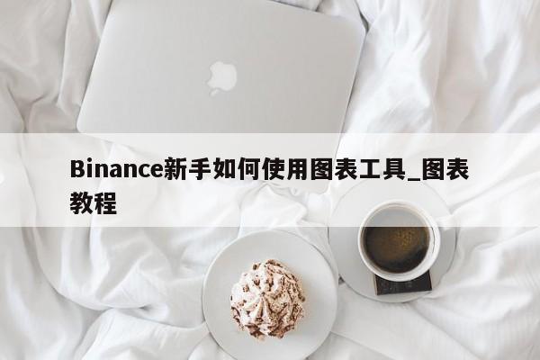Binance新手如何使用图表工具_图表教程-第1张图片-币选网