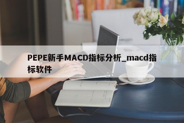 PEPE新手MACD指标分析_macd指标软件-第1张图片-币选网