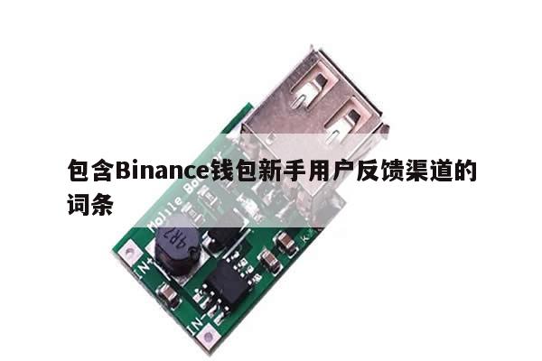 包含Binance钱包新手用户反馈渠道的词条-第1张图片-币选网