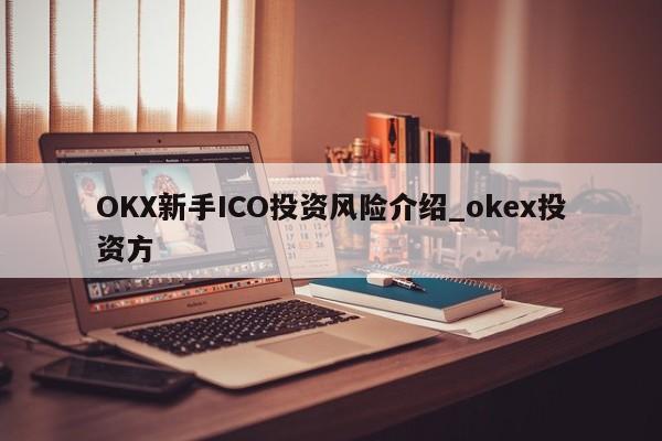 OKX新手ICO投资风险介绍_okex投资方-第1张图片-币选网