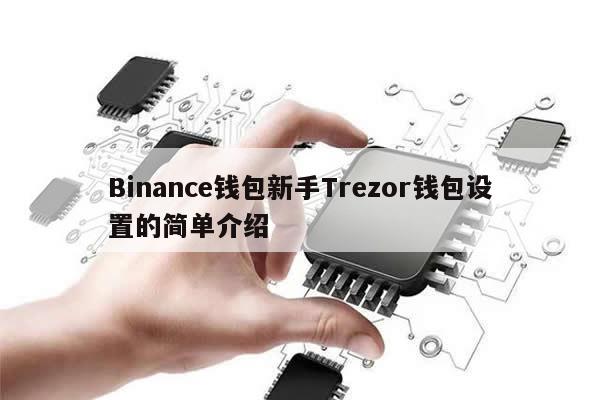Binance钱包新手Trezor钱包设置的简单介绍-第1张图片-币选网
