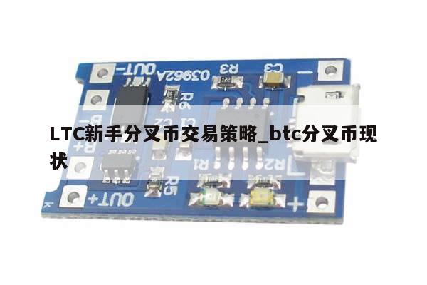 LTC新手分叉币交易策略_btc分叉币现状-第1张图片-币选网