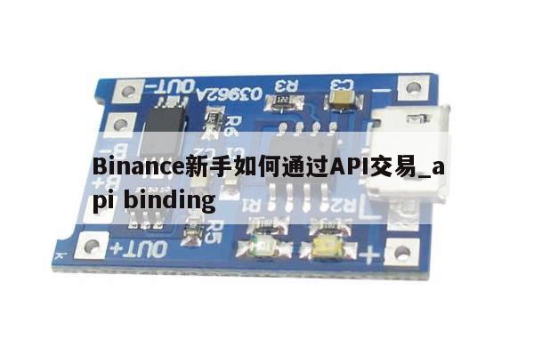 Binance新手如何通过API交易_api binding-第1张图片-币选网