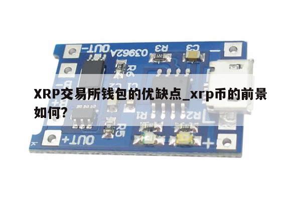 XRP交易所钱包的优缺点_xrp币的前景如何?-第1张图片-币选网