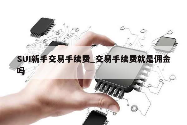 SUI新手交易手续费_交易手续费就是佣金吗-第1张图片-币选网