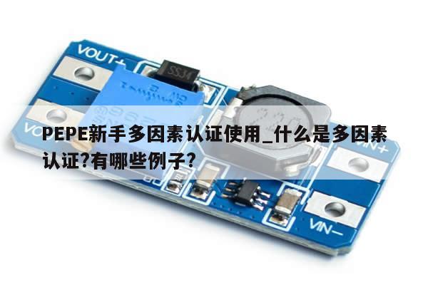 PEPE新手多因素认证使用_什么是多因素认证?有哪些例子?-第1张图片-币选网