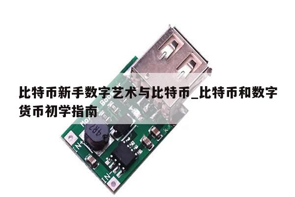 比特币新手数字艺术与比特币_比特币和数字货币初学指南-第1张图片-币选网