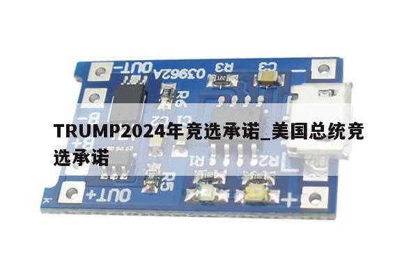 TRUMP2024年竞选承诺_美国总统竞选承诺-第1张图片-币选网