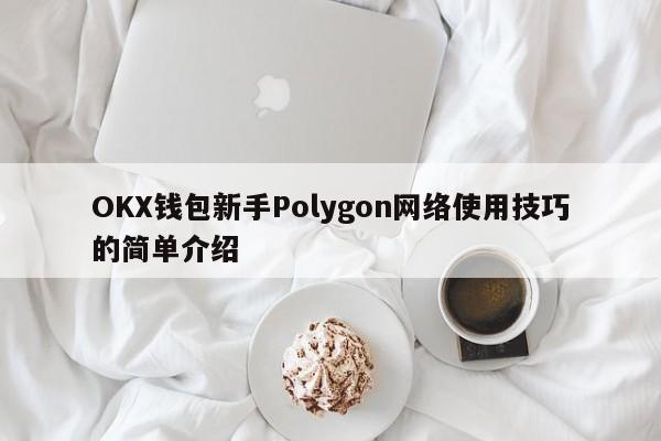 OKX钱包新手Polygon网络使用技巧的简单介绍-第1张图片-币选网