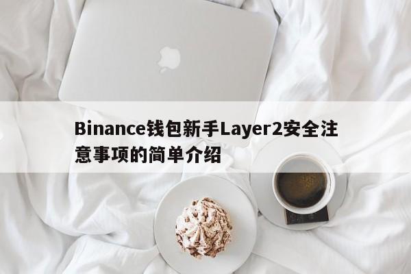 Binance钱包新手Layer2安全注意事项的简单介绍-第1张图片-币选网
