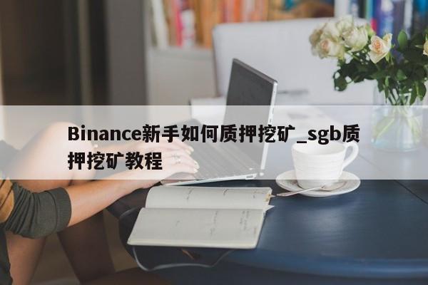 Binance新手如何质押挖矿_sgb质押挖矿教程-第1张图片-币选网