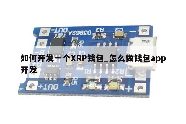 如何开发一个XRP钱包_怎么做钱包app开发-第1张图片-币选网