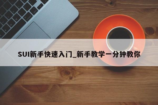 SUI新手快速入门_新手教学一分钟教你-第1张图片-币选网
