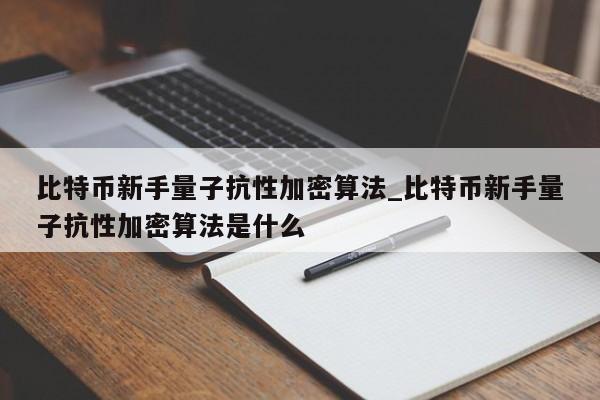 比特币新手量子抗性加密算法_比特币新手量子抗性加密算法是什么-第1张图片-币选网