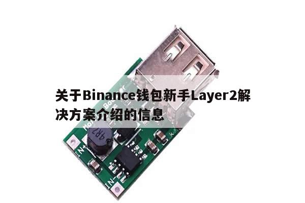 关于Binance钱包新手Layer2解决方案介绍的信息-第1张图片-币选网