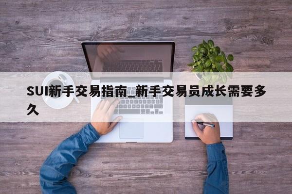 SUI新手交易指南_新手交易员成长需要多久-第1张图片-币选网