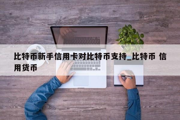 比特币新手信用卡对比特币支持_比特币 信用货币-第1张图片-币选网