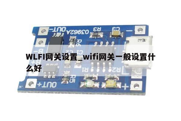 WLFI网关设置_wifi网关一般设置什么好-第1张图片-币选网 WLFI网关设置_wifi网关一般设置什么好-第1张图片-币选网