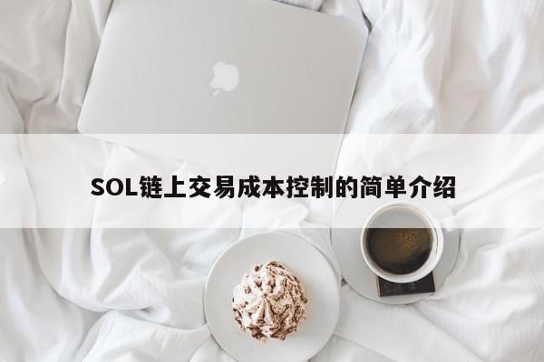 SOL链上交易成本控制的简单介绍-第1张图片-币选网 SOL链上交易成本控制的简单介绍-第1张图片-币选网