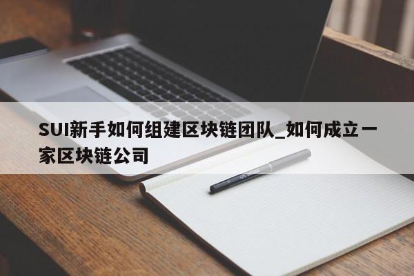SUI新手如何组建区块链团队_如何成立一家区块链公司-第1张图片-币选网