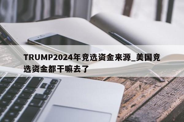 TRUMP2024年竞选资金来源_美国竞选资金都干嘛去了-第1张图片-币选网