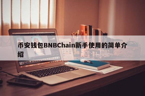 币安钱包BNBChain新手使用的简单介绍-第1张图片-币选网 币安钱包BNBChain新手使用的简单介绍-第1张图片-币选网
