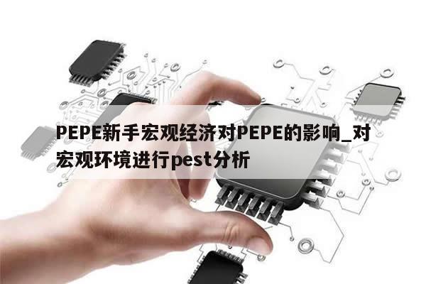 PEPE新手宏观经济对PEPE的影响_对宏观环境进行pest分析-第1张图片-币选网