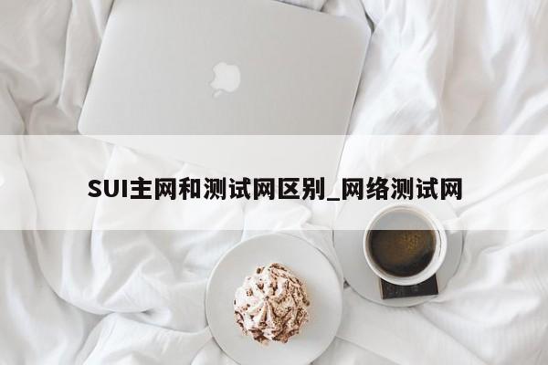 SUI主网和测试网区别_网络测试网-第1张图片-币选网