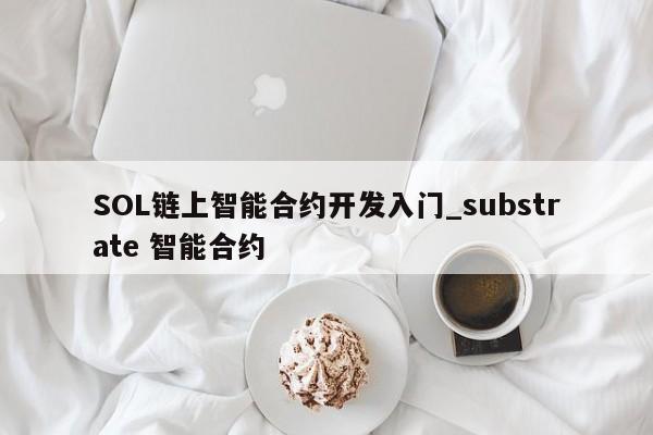 SOL链上智能合约开发入门_substrate 智能合约-第1张图片-币选网 SOL链上智能合约开发入门_substrate 智能合约-第1张图片-币选网