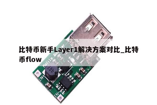 比特币新手Layer1解决方案对比_比特币flow-第1张图片-币选网
