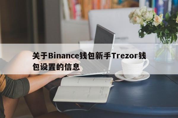 关于Binance钱包新手Trezor钱包设置的信息-第1张图片-币选网