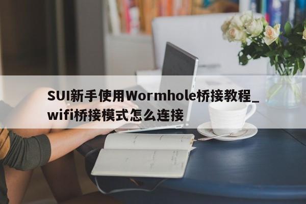 SUI新手使用Wormhole桥接教程_wifi桥接模式怎么连接-第1张图片-币选网