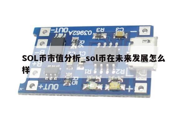 SOL币市值分析_sol币在未来发展怎么样-第1张图片-币选网
