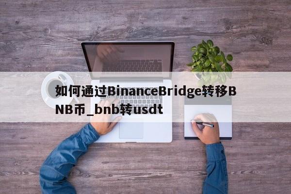 如何通过BinanceBridge转移BNB币_bnb转usdt-第1张图片-币选网 如何通过BinanceBridge转移BNB币_bnb转usdt-第1张图片-币选网